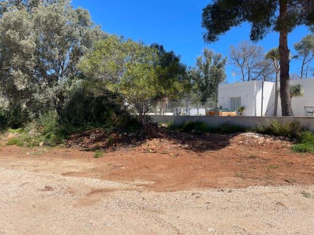 Terreno en venta en la Marina Alta, Valencia