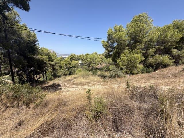 Terreno en venta en la Marina Alta, Valencia