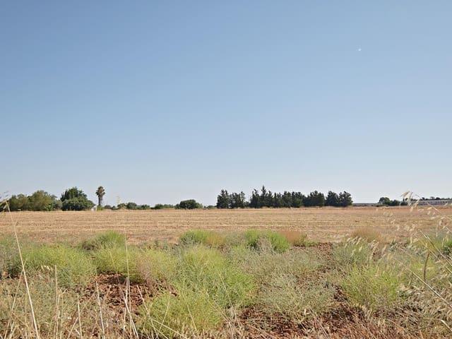 Terreno en venta en San Marcos, Campiña de Jerez