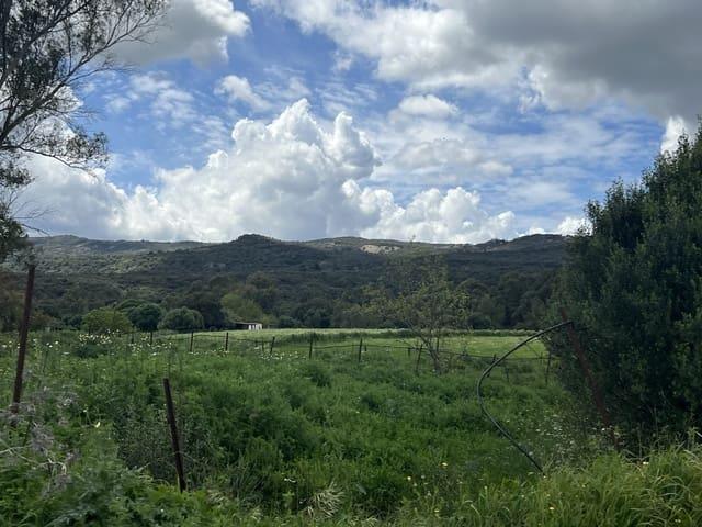 Terreno en venta en Los Ángeles, Campo de Gibraltar