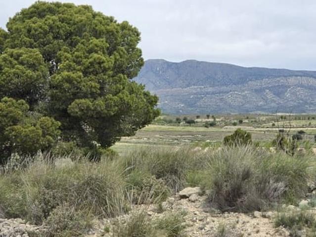 Terreno en venta en La Estacada, Altiplano