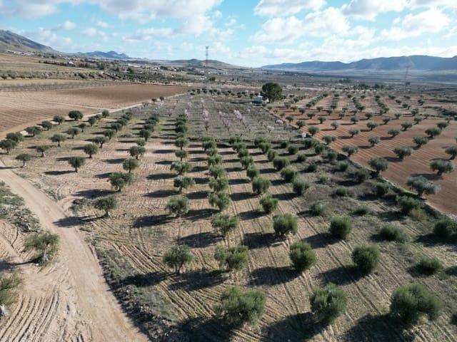 Terreno en venta en La Alqueria, Jumilla