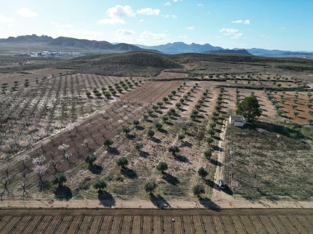 Terreno en venta en La Alquería, Altiplano
