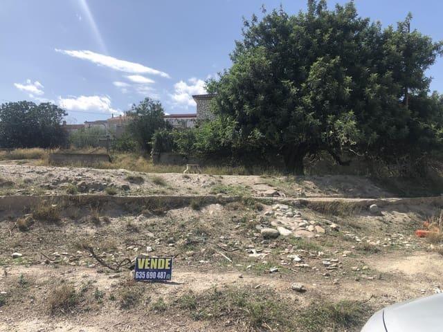 Terreno en venta en La Cinta, Valle del Almanzora