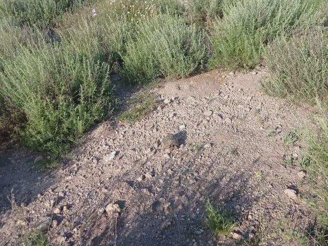 Terreno en venta en La Hoya, Alto Guadalentín