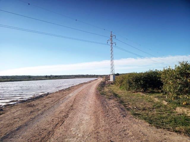 Terreno en venta en la Marina, el Baix Vinalopó