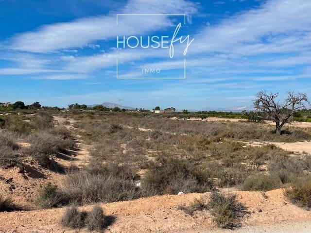 Terreno en venta en la Marina, el Baix Vinalopó