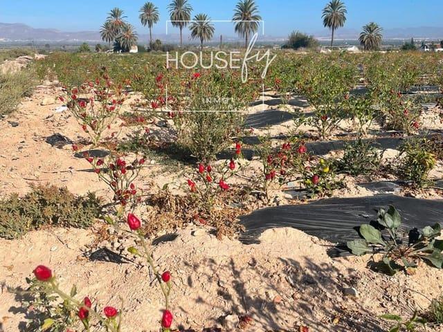 Terreno en venta en Alicante, la Marina