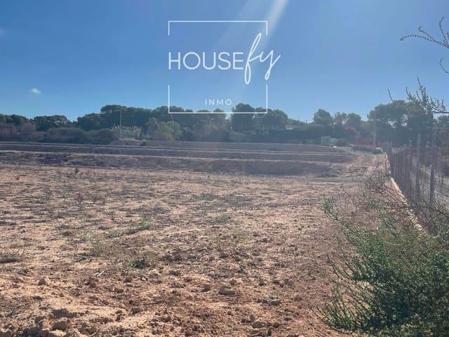 Terreno en venta en la Marina, el Baix Vinalopó