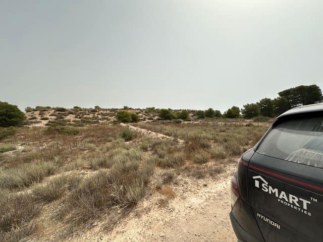 Terreno en venta en la Marina, el Baix Vinalopó