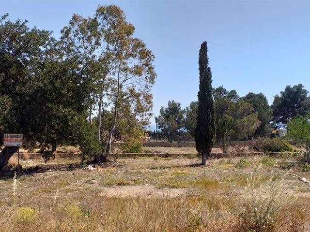 Terreno en venta en La Nucia
