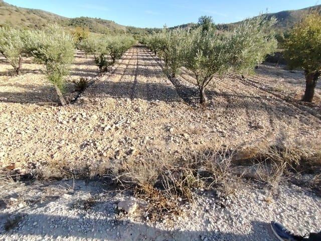 Terreno en venta en Cases de l'Ombria, el Vinalopó Mitjà / El Vinalopó Medio