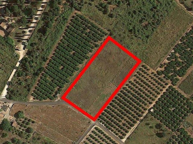Terreno en venta en la Marina Alta, Valencia