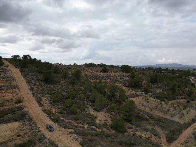 Terreno en venta en La Zarza, Jumilla