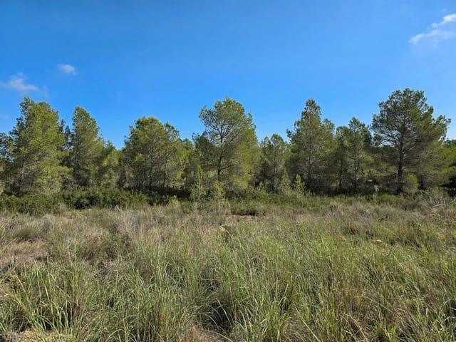 Terreno en venta en Baix Ebre, Catalunya