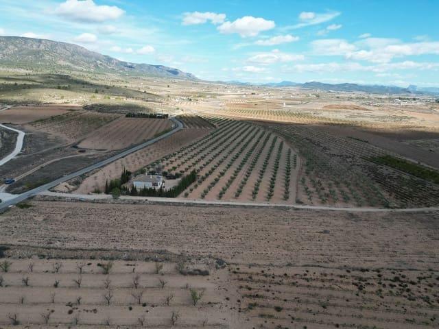 Terreno en venta en Lel, el Pinós / Pinoso