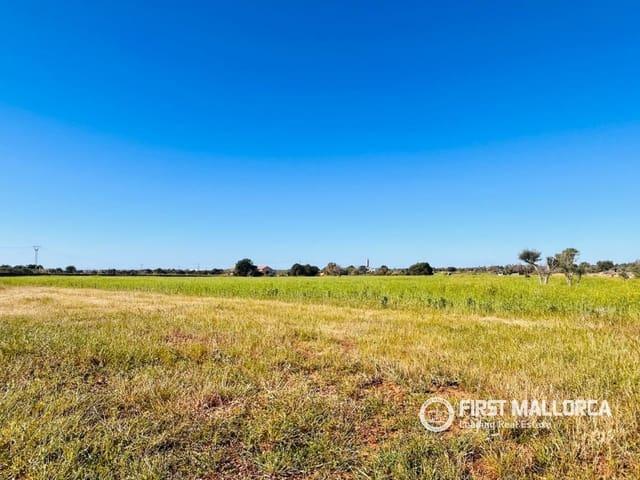 Terreno en venta en s'Horta, Migjorn