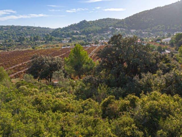 Terreno en venta en la Marina Alta, Valencia