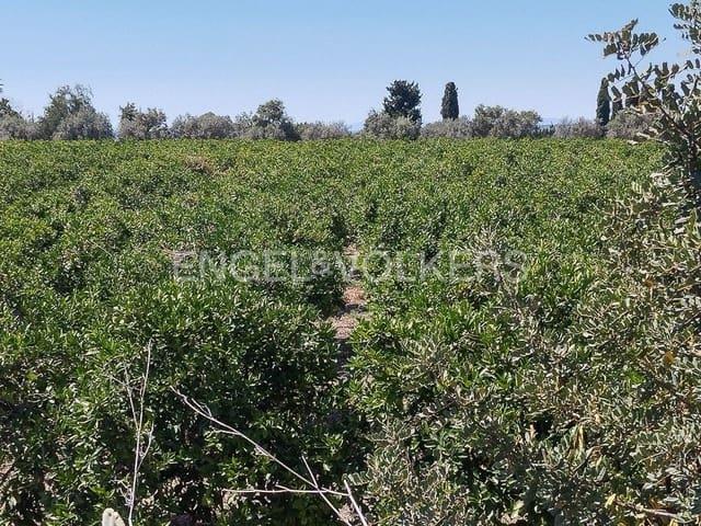 Terreno en venta en el Camp de Túria, Valencia