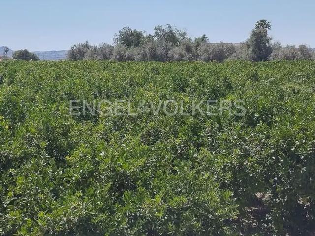 Terreno en venta en el Camp de Túria, Valencia