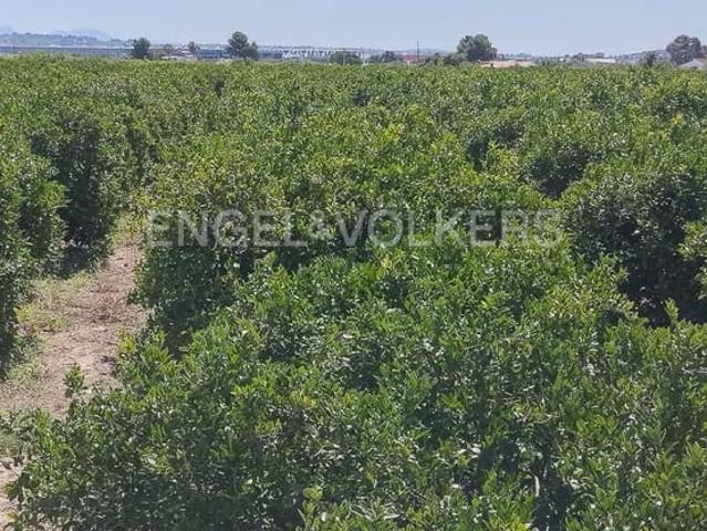 Terreno en venta en el Camp de Túria, Valencia