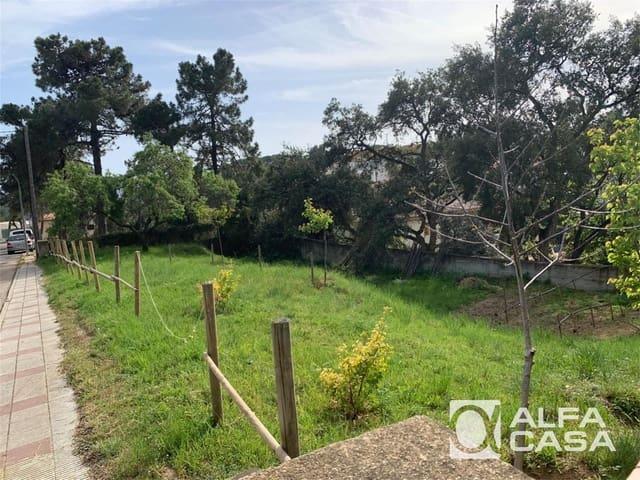 Terreno en venta en la Selva, Catalunya