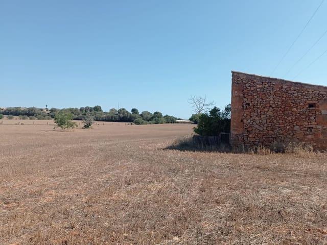 Terreno en venta en Pla de Mallorca, Baleares