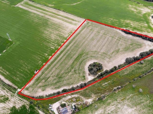Terreno en venta en Llubí Terreno en venta en Llubí