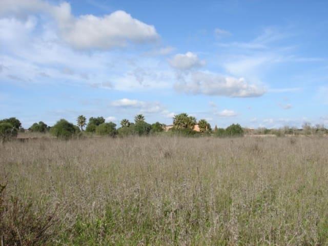 Solar/parcela En Venta En Llucmajor, Mallorca Solar/parcela En Venta En Llucmajor, Mallorca