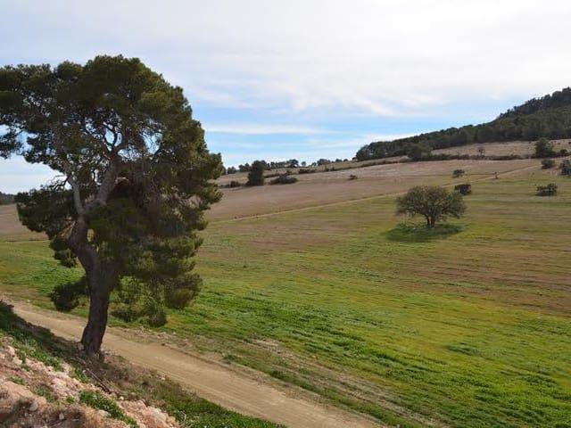 Terreno en venta en Virgen de las Huertas, Alto Guadalentín