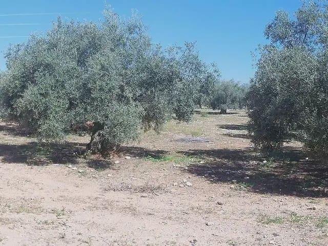 Terreno en venta en Zona 2 (Centro y San Francisco), Lucena