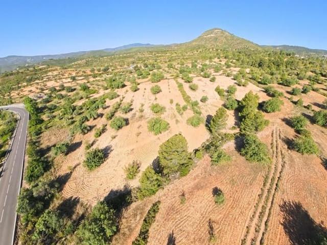 Terreno en venta en La Hoya de Buñol, Valencia