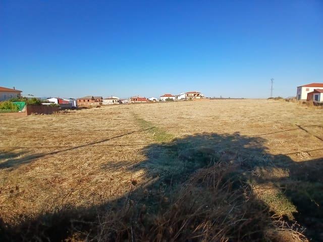 Terreno en venta en Madroñera, Extremadura
