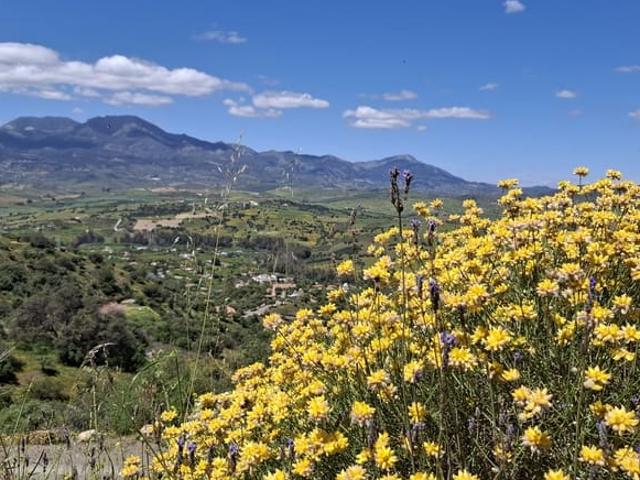 Terreno en venta en Centro, Málaga-Costa del Sol