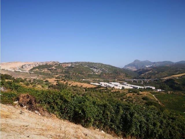 Terreno en venta en Manilva, Monte Viñas
