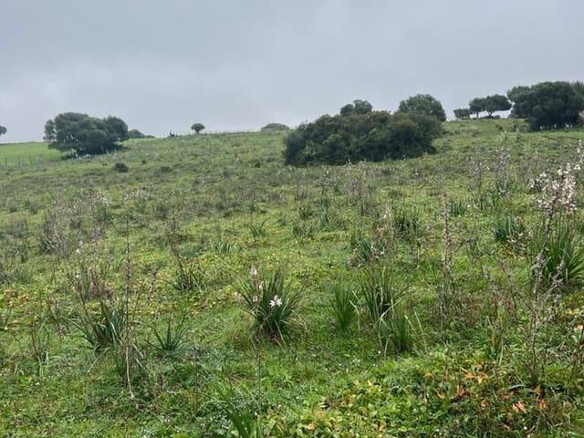 Terreno en venta en La Janda, Andalucía