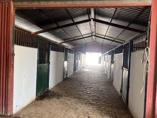 Terreno en venta en Marchenilla, Campo de Gibraltar