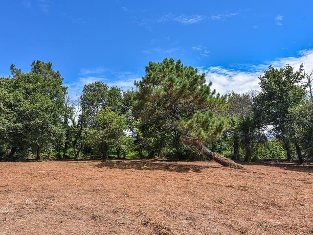 Terreno en venta en Santa María do Porto de Marín, O Morrazo