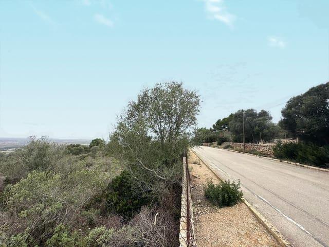 Terreno en venta en es Caülls, Raiguer