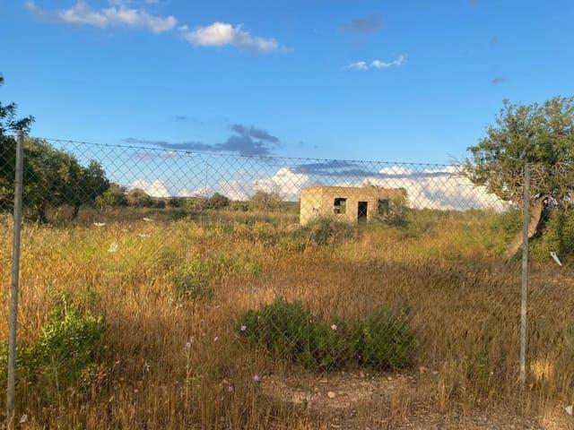 Terreno en venta en Marratxí, es Figueral - Can Farineta