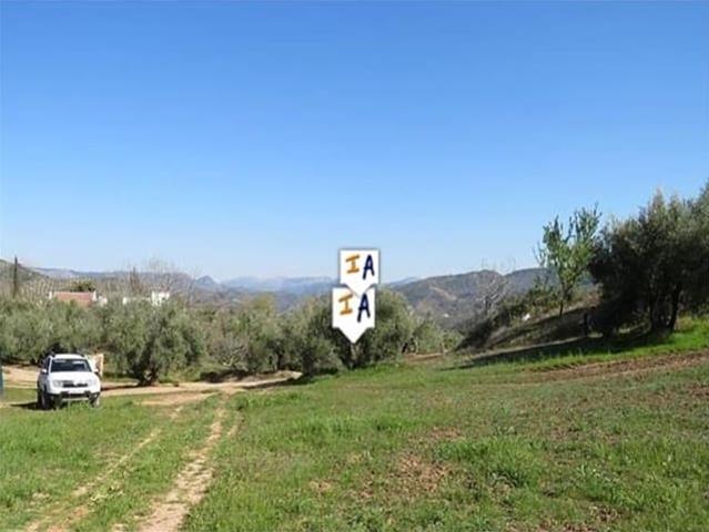 Terreno en venta en Martos, Andalucía