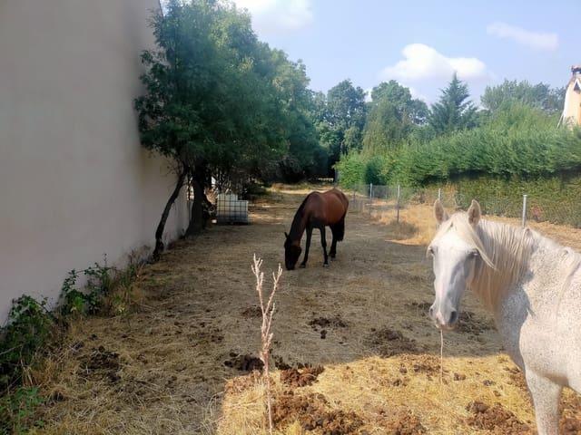 Terreno en venta en Comunidad de Villa y Tierra de Pedraza, Matabuena