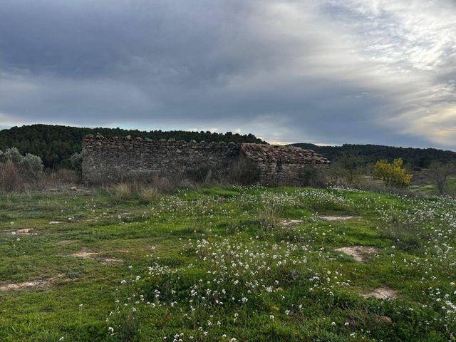 Terreno en venta en Mazaleón / Massalió, Matarraña / Matarranya