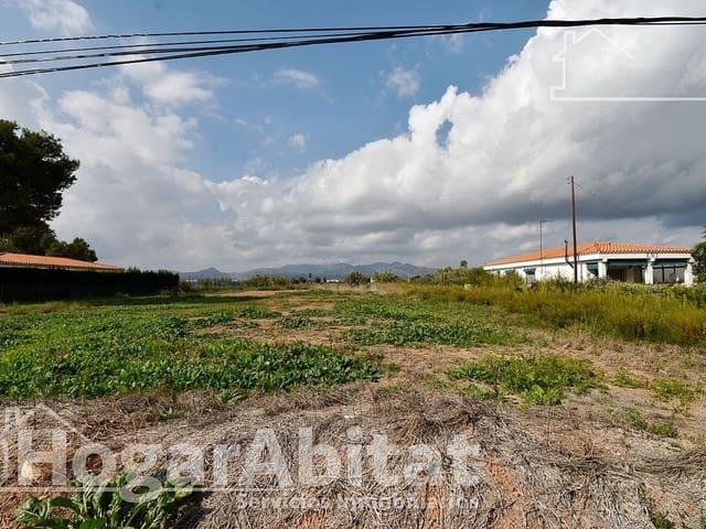 Terreno en venta en la Plana Baixa, Valencia