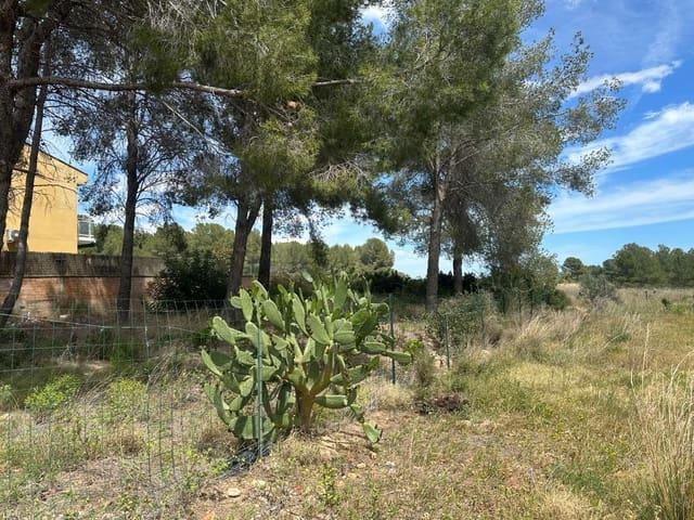Terreno en venta en Mont-roig Del Camp