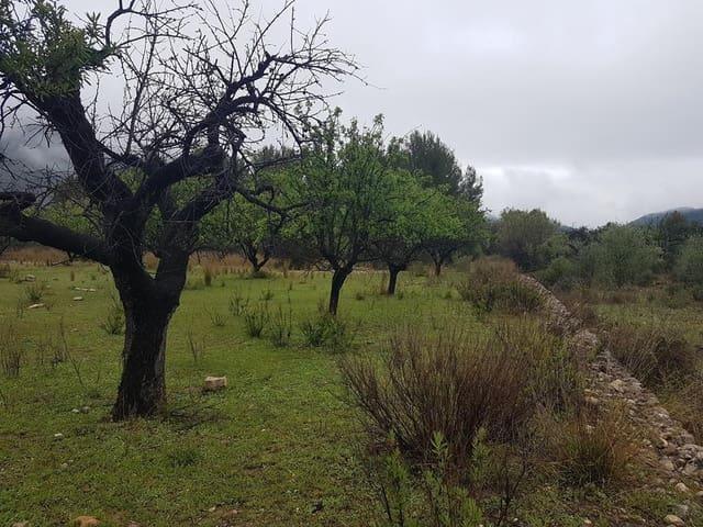 Terreno en venta en la Vall d'Albaida, Valencia
