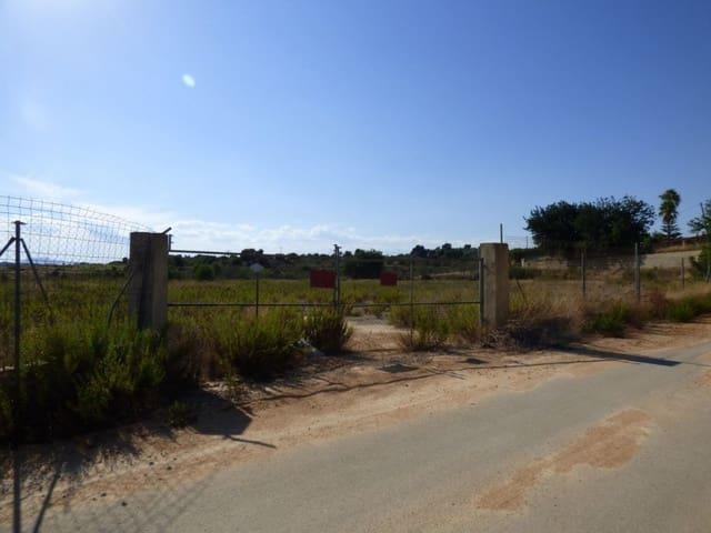 Terreno en venta en la Ribera Alta, Valencia