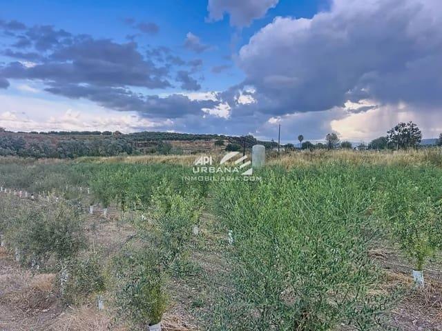 Terreno en venta en Monturque, Andalucía