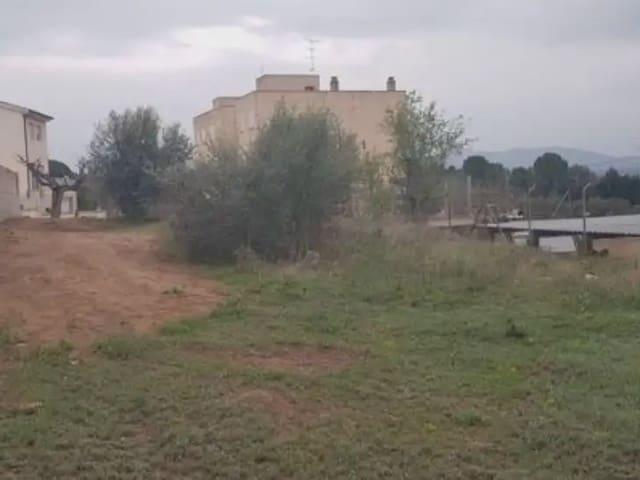Terreno en venta en Ribera d'Ebre, Catalunya