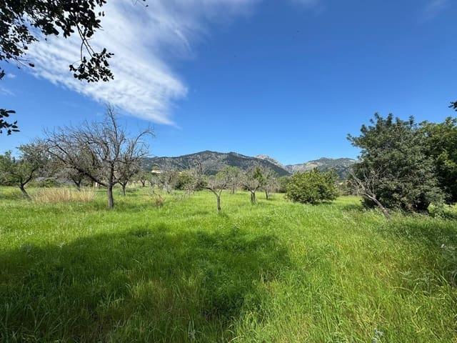 Terreno en venta en Moscari, Raiguer